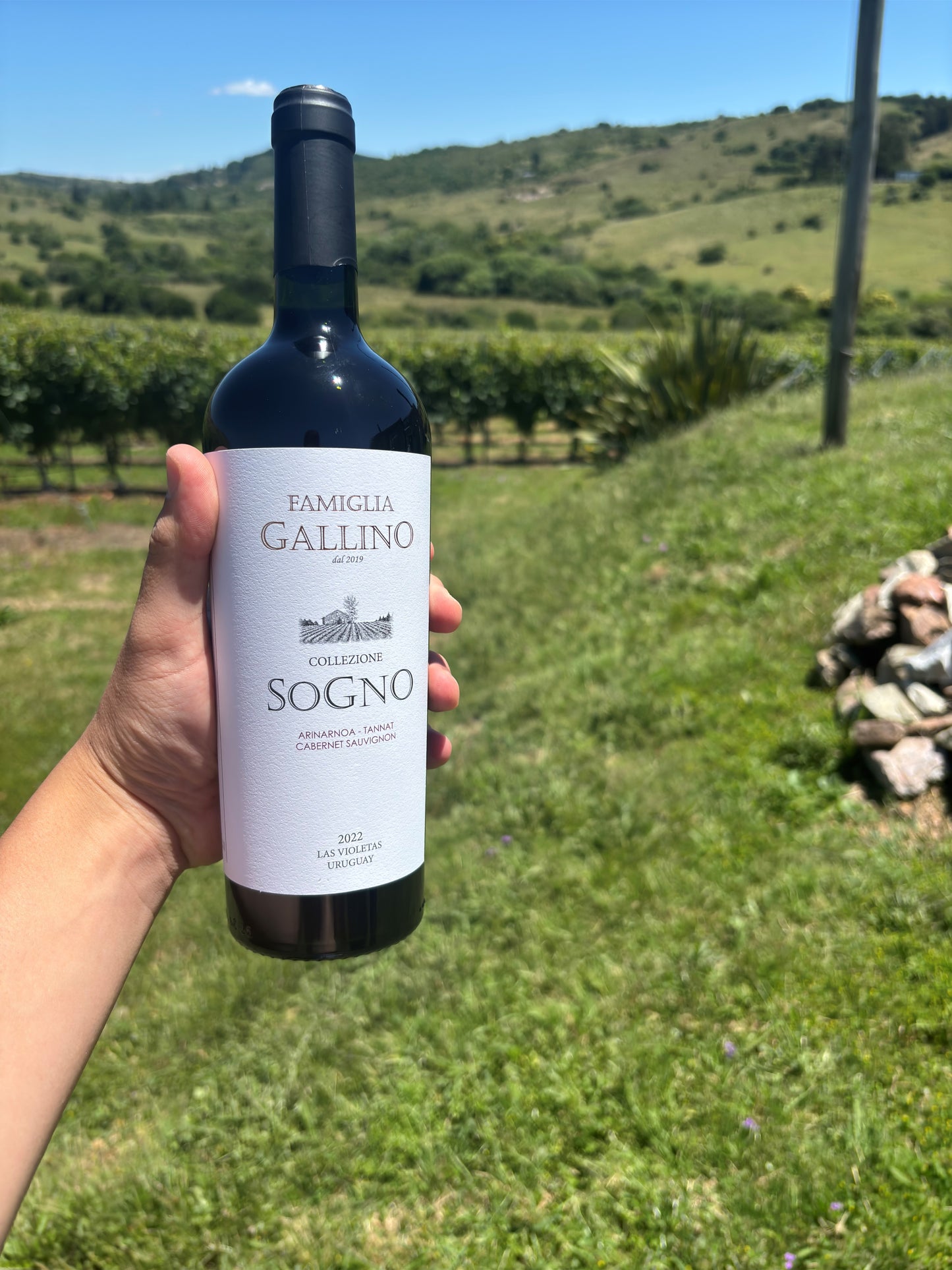 Arinarnoa - Tannat - Cabernet Sauvignon