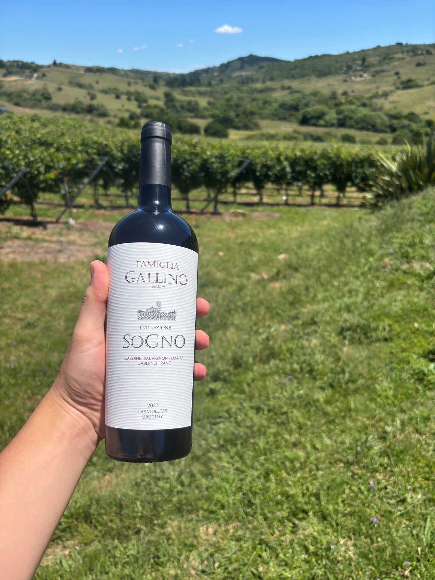 Cabernet Sauvignon - Tannat - Cabernet Franc