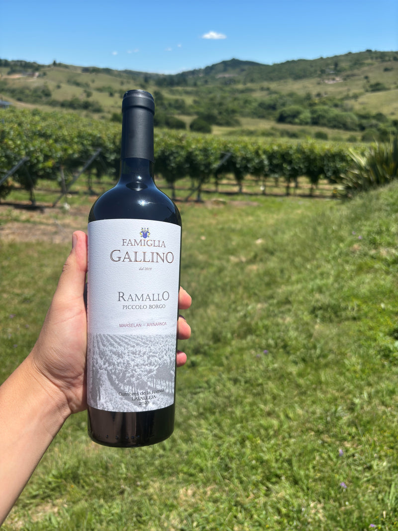 Piccolo Borgo — vino Marselan Arinarnoa, Linea Ramallo Famiglia Gallino