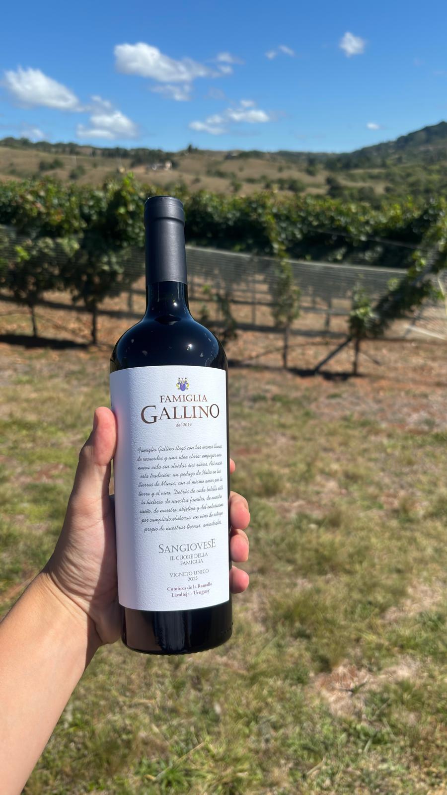 Sangiovese Famiglia Gallino — Vino artesanal italiano de las sierras de Lavalleja